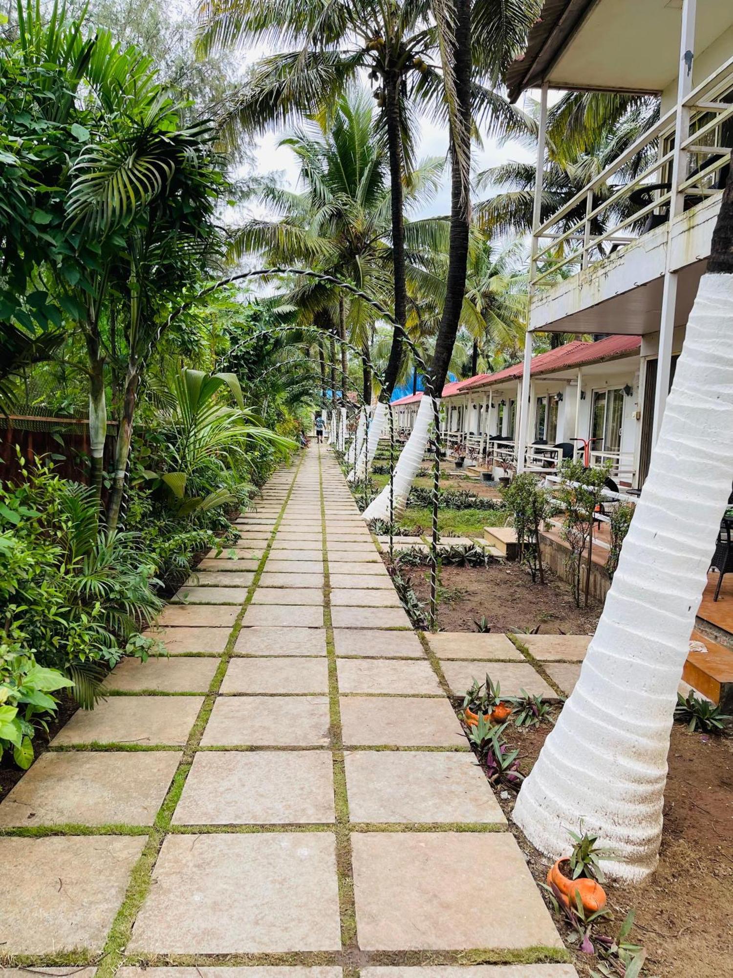 Arabian Sea Beach Resort Morjim Exterior photo