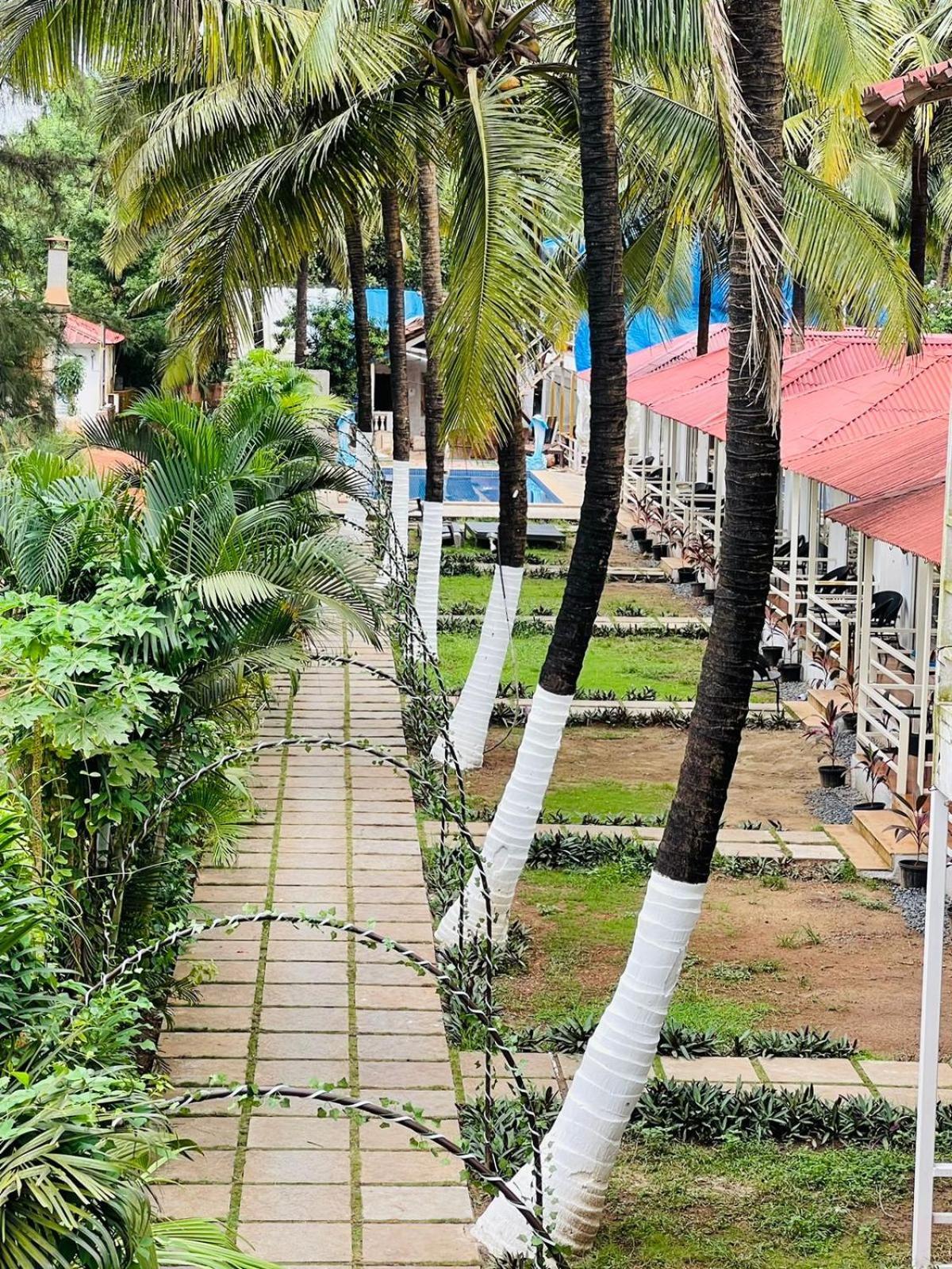 Arabian Sea Beach Resort Morjim Exterior photo